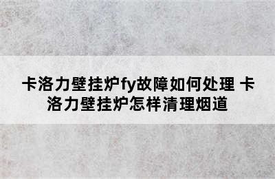 卡洛力壁挂炉fy故障如何处理 卡洛力壁挂炉怎样清理烟道